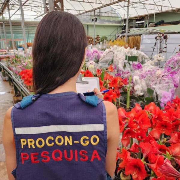 Dia de Finados, pesquisa do Procon Goiás aponta variação de até 585% em preço de flores