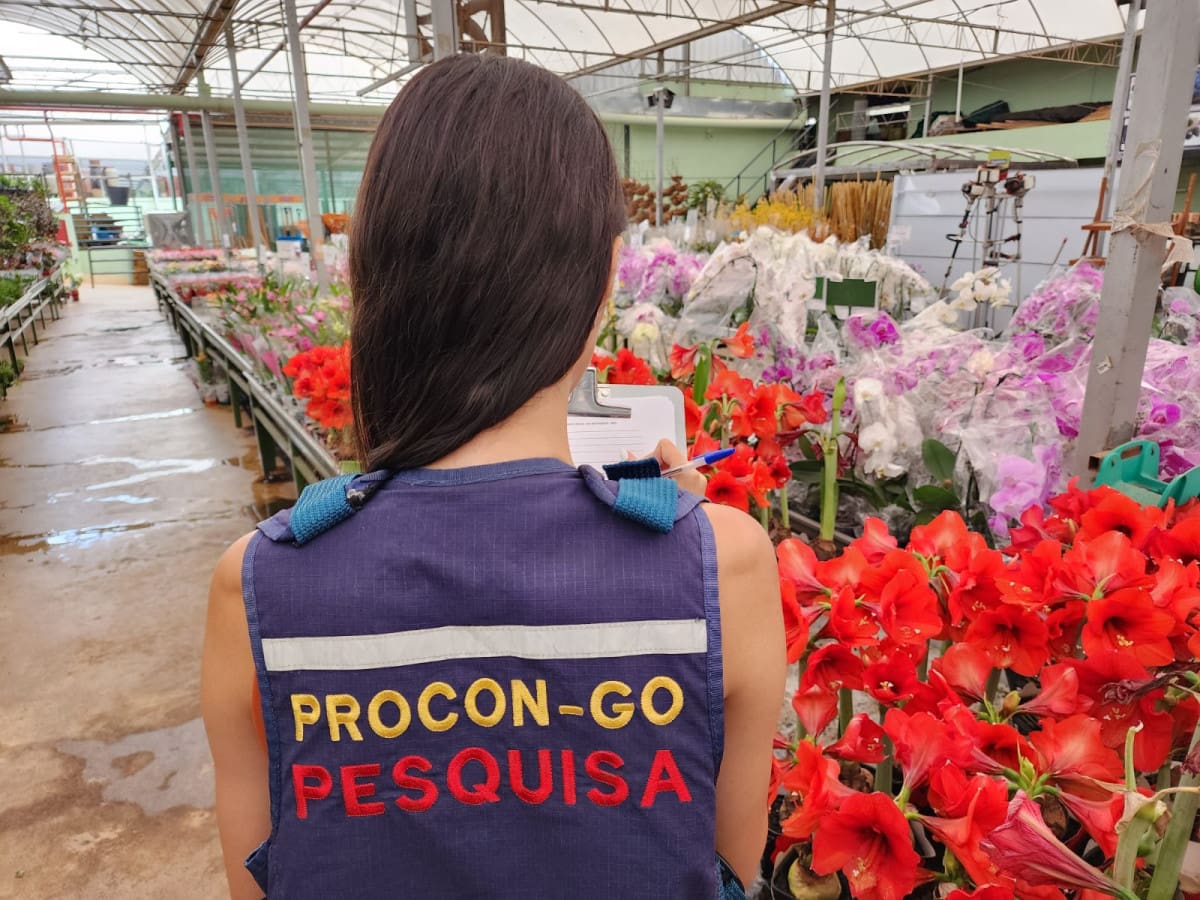 Dia de Finados, pesquisa do Procon Goiás aponta variação de até 585% em preço de flores