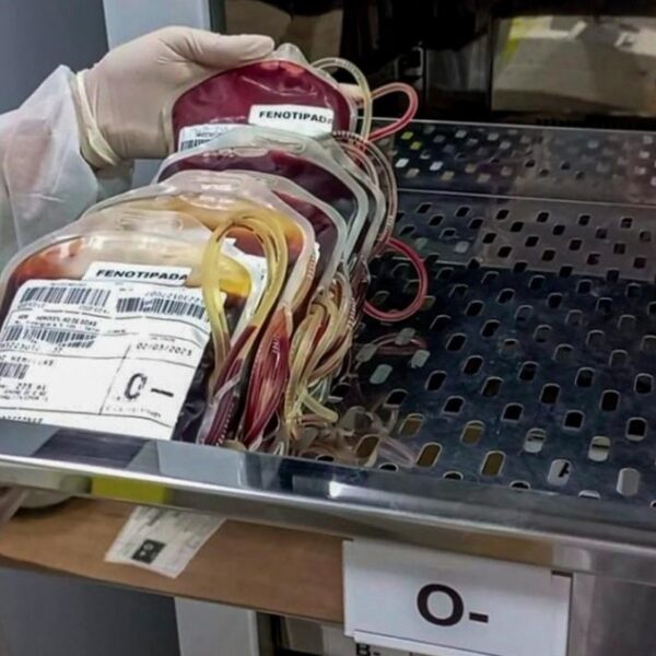 Hemocentro vai coletar sangue para prematuros e gestantes 