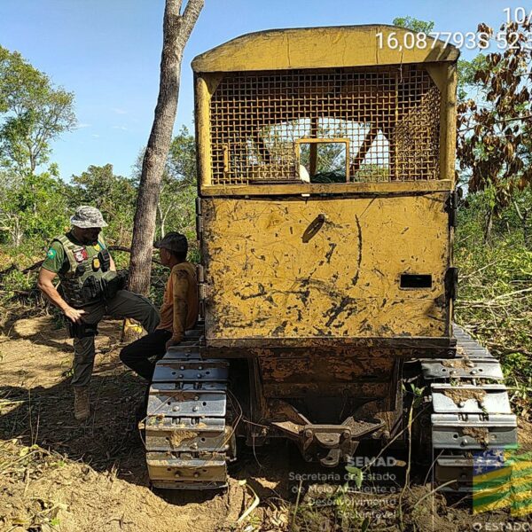 Semad flagra desmatamento ilegal em Bom Jardim