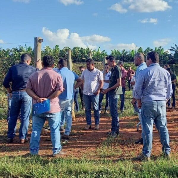 Publicado edital de seleção de novos produtores para projeto de Fruticultura do Vão do Paranã