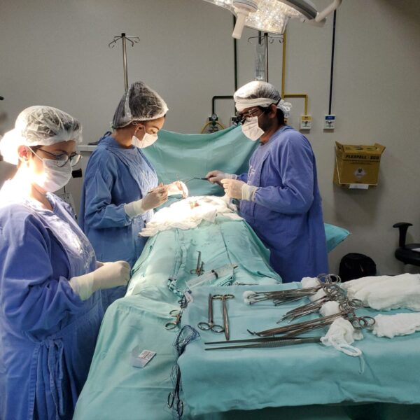 HGG realiza novos procedimentos cirúrgicos de transplante renal