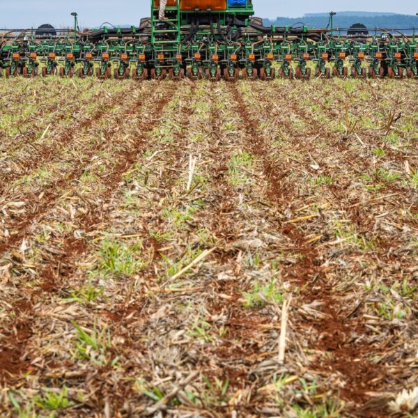 Prorrogado prazo para semeadura da soja em Goiás