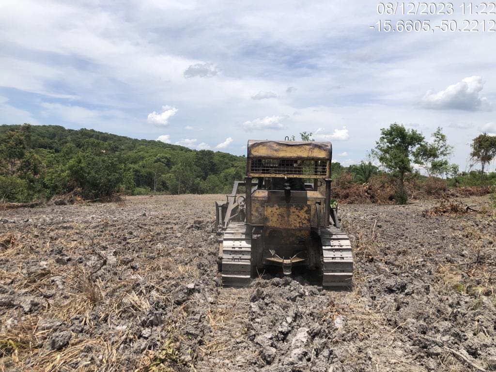 área de desmatamento em Buenolândia