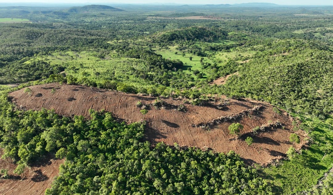 Área de desmatamento ilegal em Mara Rosa
