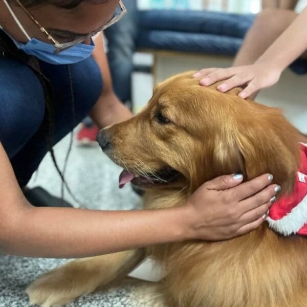 Pacientes do Crer vão receber visita de cães terapeutas
