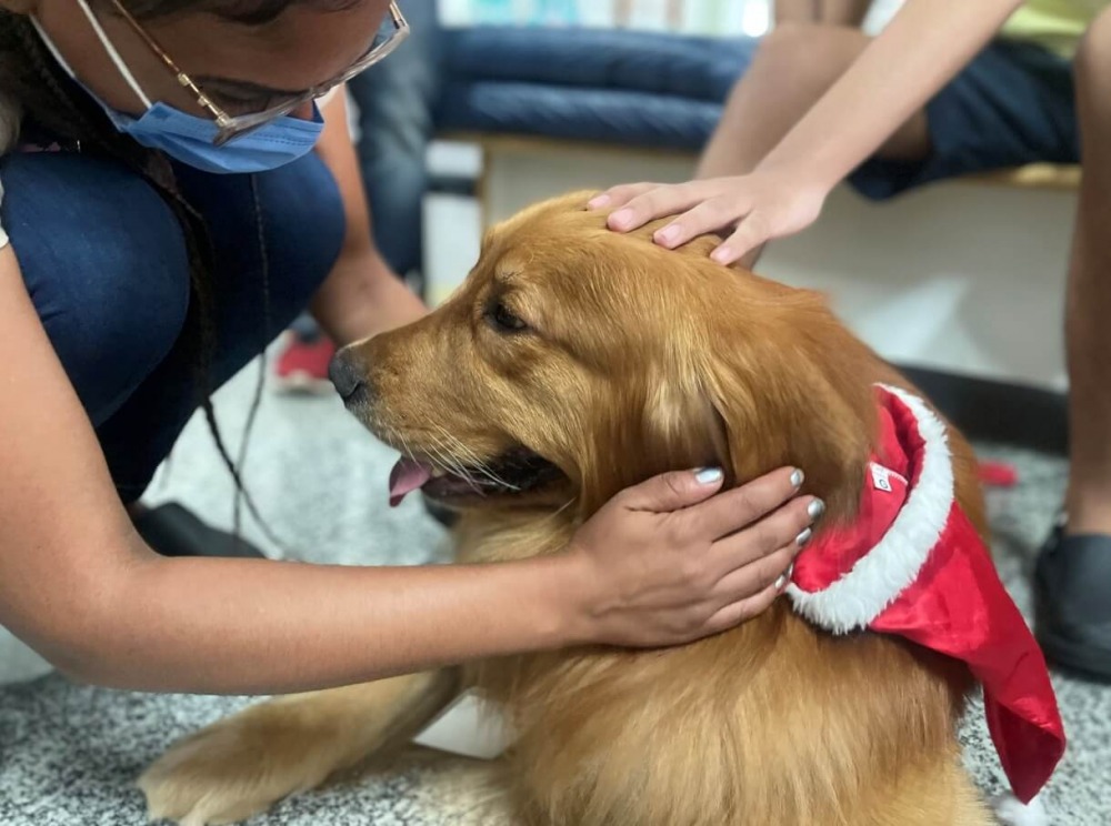 Pacientes do Crer vão receber visita de cães terapeutas