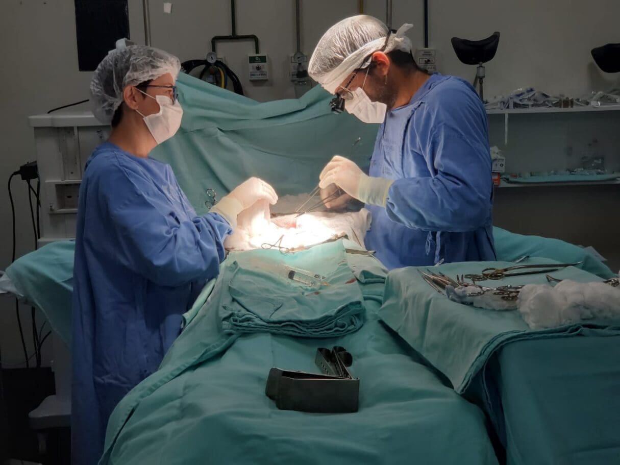 Cirurgia de Transplante Renal no HGG
