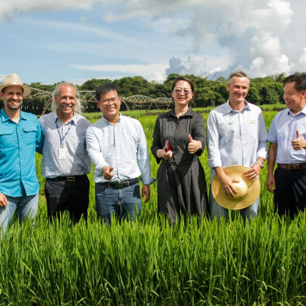 Seapa trabalha parceria tecnológica com foco na rizicultura com universidade chinesa