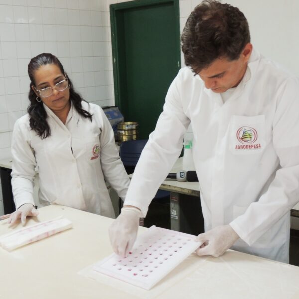 Laboratório da Agrodefesa alcança nota máxima em teste nacional