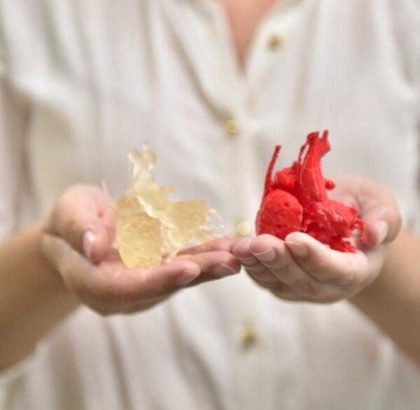 Goiás realiza primeira impressão 3D de um coração