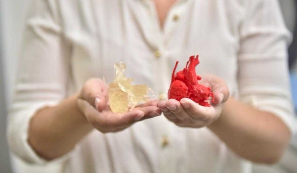 Goiás realiza primeira impressão 3D de um coração