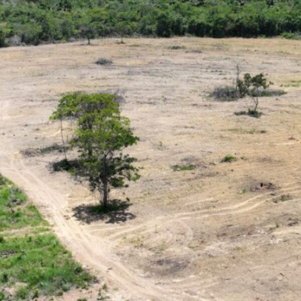 Flagra de área de desmatamento em Pirenópolis