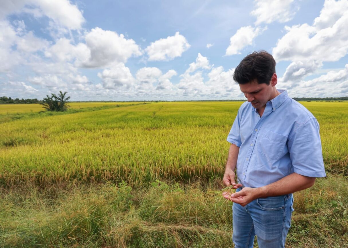 Daniel Vilela articula expansão de arroz irrigado no Vale do Araguaia Foto: André Costa