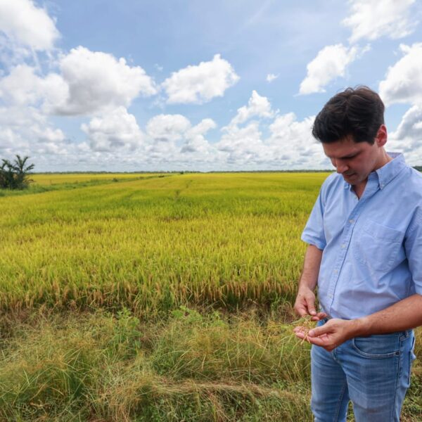Daniel Vilela articula expansão de arroz irrigado no Vale do Araguaia Foto: André Costa