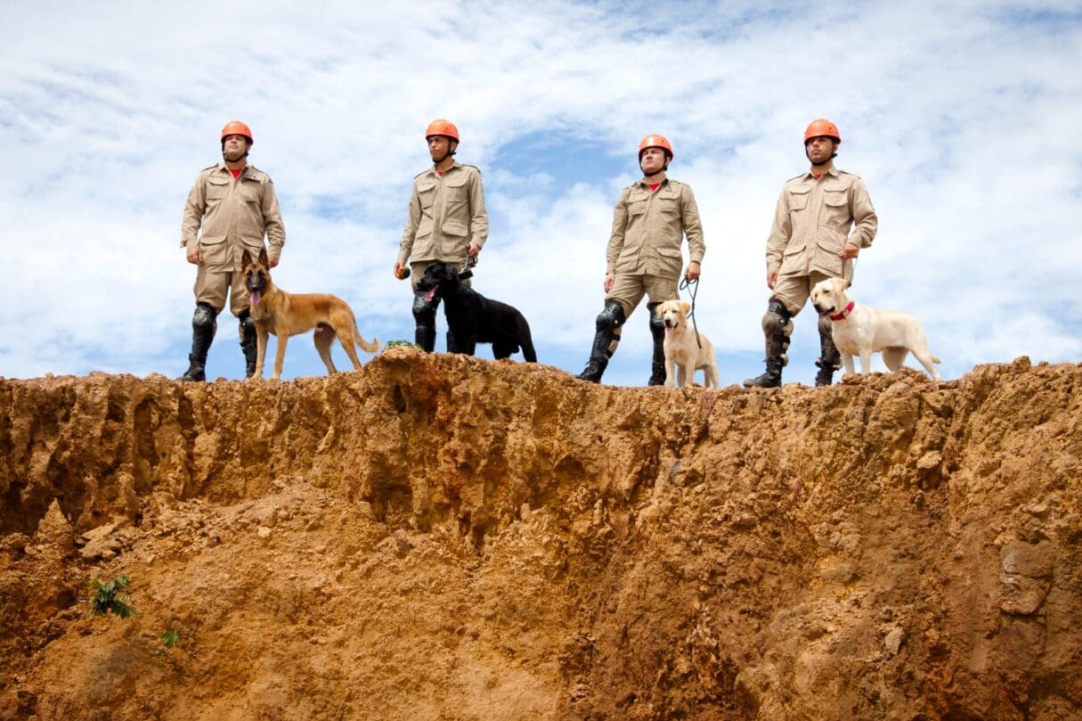 Bombeiros goianos atuam em São Valentim do Sul, no RS