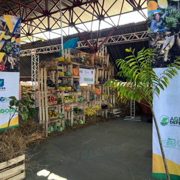 ESTANDE PECUARIA SEAPA