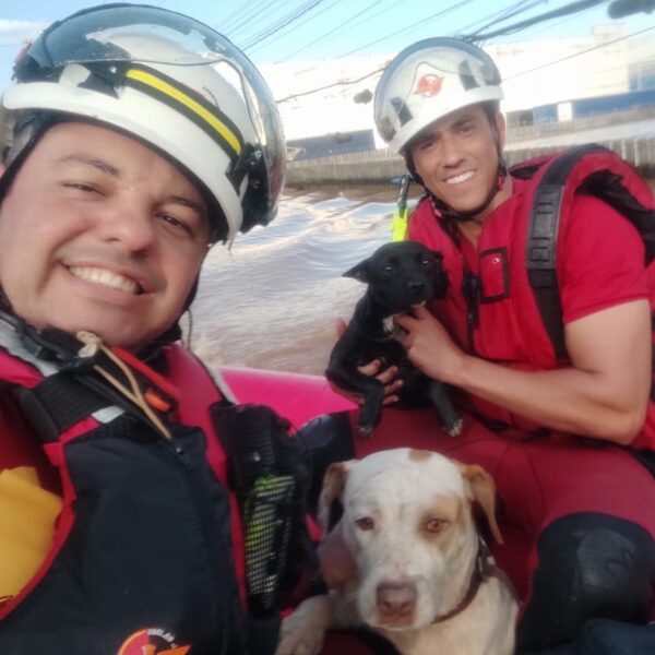 Resgate dos bombeiros no Rio Grande do Sul_CBMGO