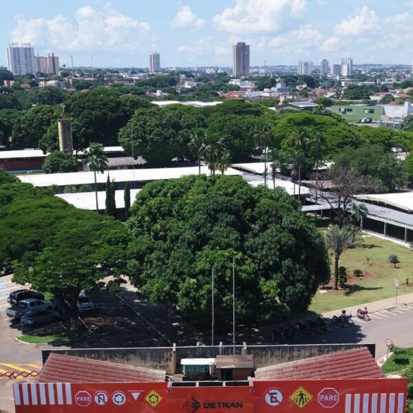 Natal e Ano Novo alteram funcionamento de repartições públicas estaduais