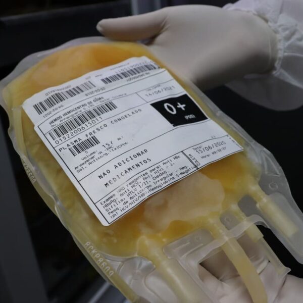 Em um ano, Rede Hemo envia à Hemobras quase 11 mil bolsas de plasma para medicamentos