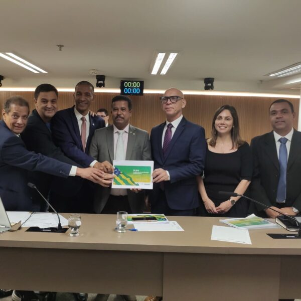 Governo apresenta prioridades da LDO em audiência pública na Alego