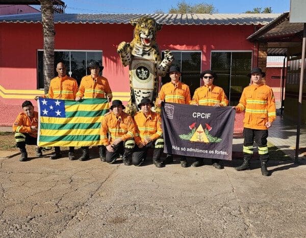 Bombeiros de Goiás no Pantanal