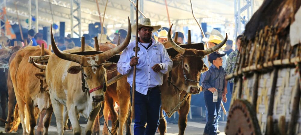 Ato de transferência foi assinado durante a Romaria dos Carros de Boi, Cavaleiros e Muladeiros