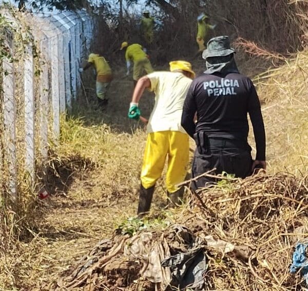 Presos trabalham na roçagem do Parque Serrinha