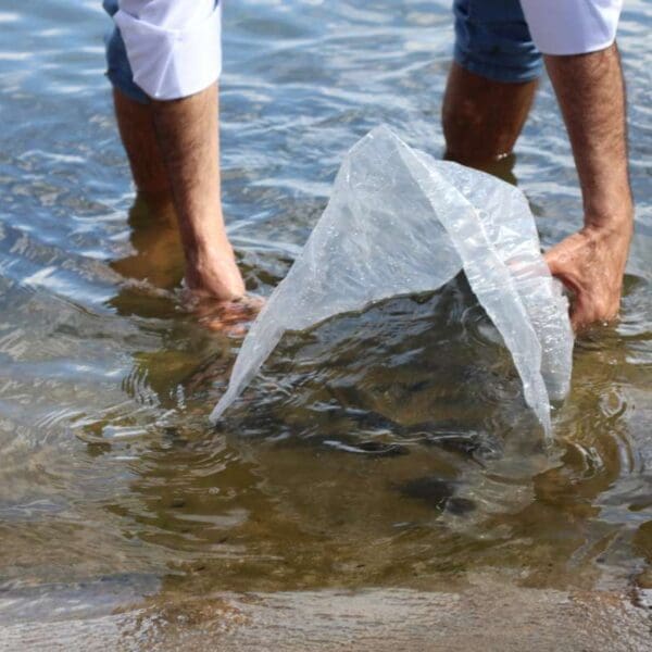 Só podemos soltar peixes com autorização da Semad