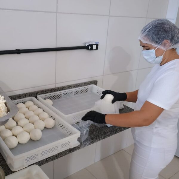 Queijaria_Sistema Unificado Estadual de Sanidade Agroindustrial Familiar