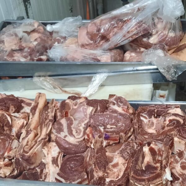 Carne apreendida pelo Procon_Procon Goiás