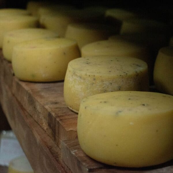 caverna de maturação de queijos