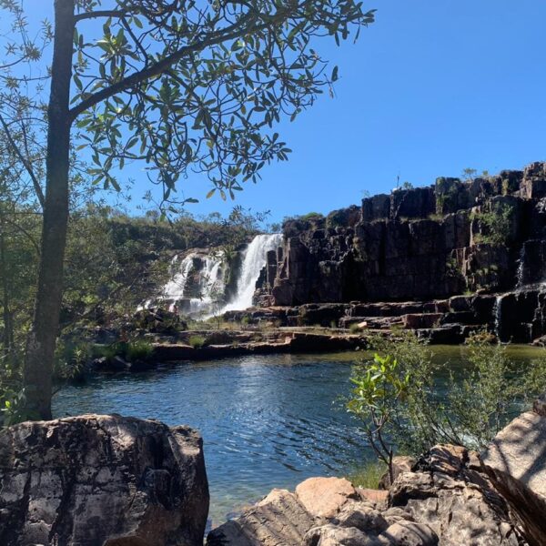 Goiás realiza Conferência Estadual do Meio Ambiente