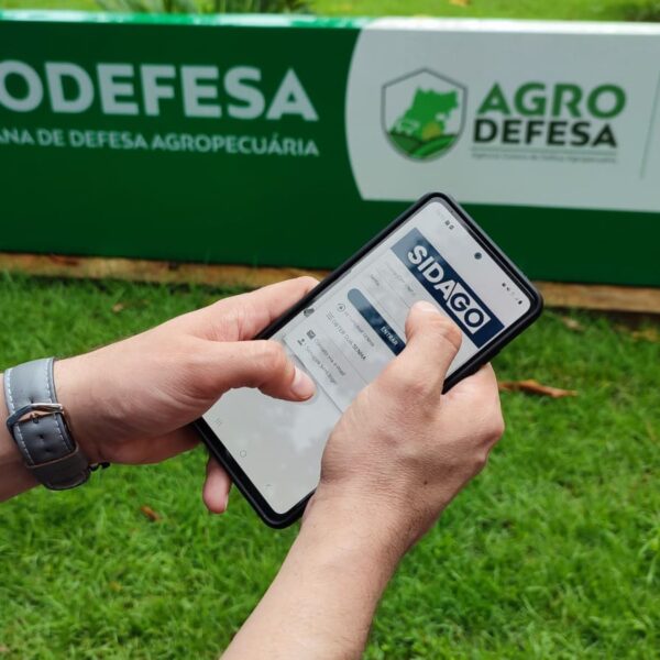 Cadastro de propriedade rural pode ser feito on-line, a partir desta terça-feira