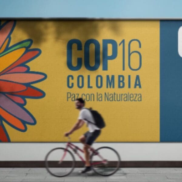 Pela primeira vez, Semad terá painel na COP-16, na Colômbia