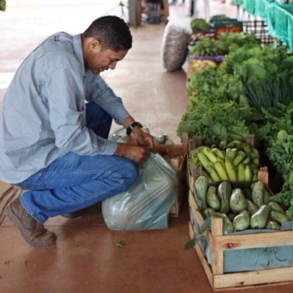 Divulgado resultado definitivo do PAA Goiás 2024