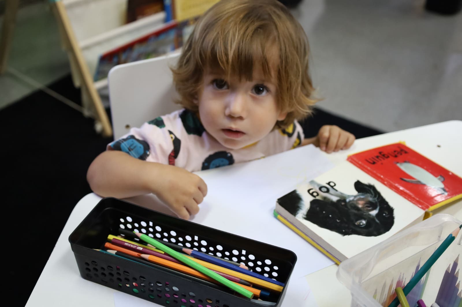 Gibiteca Jorge Braga encerra 2025 com 9 mil atendimentos 