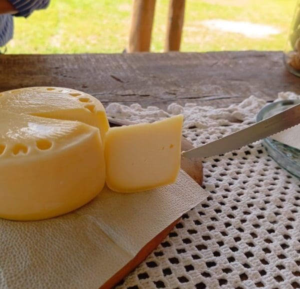Mineira escolhe Goiás para fabricar queijo artesanal