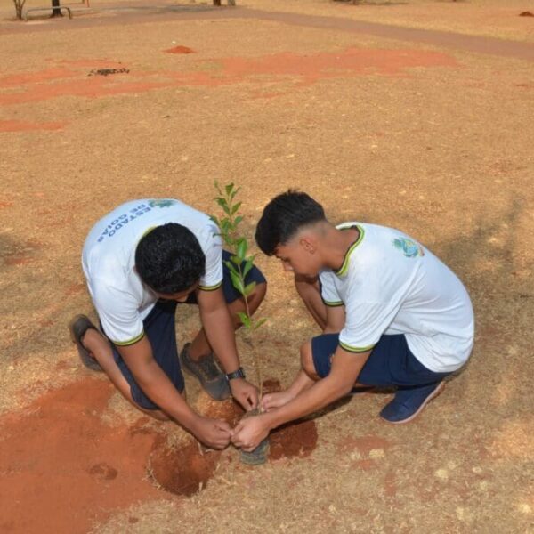 Semad e Seduc realizam plantio de árvores no Bairro da Vitória, em Goiânia