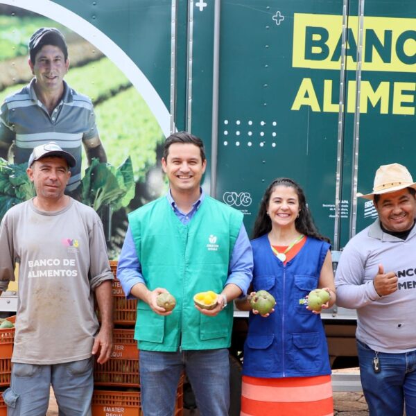 Emater inicia doação da safra de pequi para Banco de Alimentos da OVG