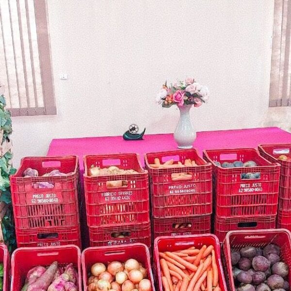 Governo inicia entregas de alimentos do PAA Goiás