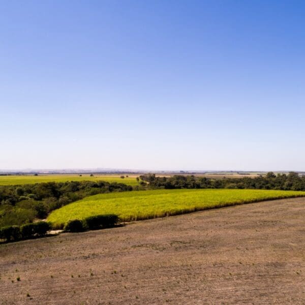Com Programa de Liberdade Econômica, emissão de certidões passa a ser automática