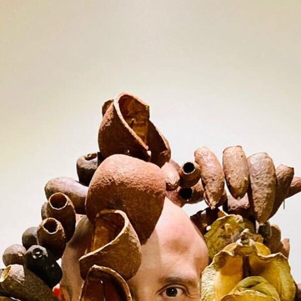 Artesanato goiano vive época de ouro com incentivo do Governo de Goiás