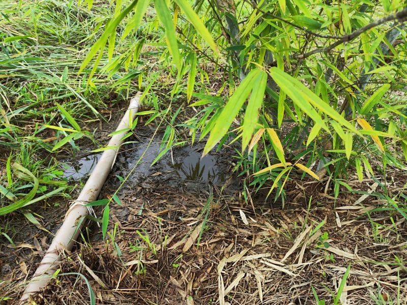 Saneago implanta projeto inovador no tratamento de esgoto em Goiás