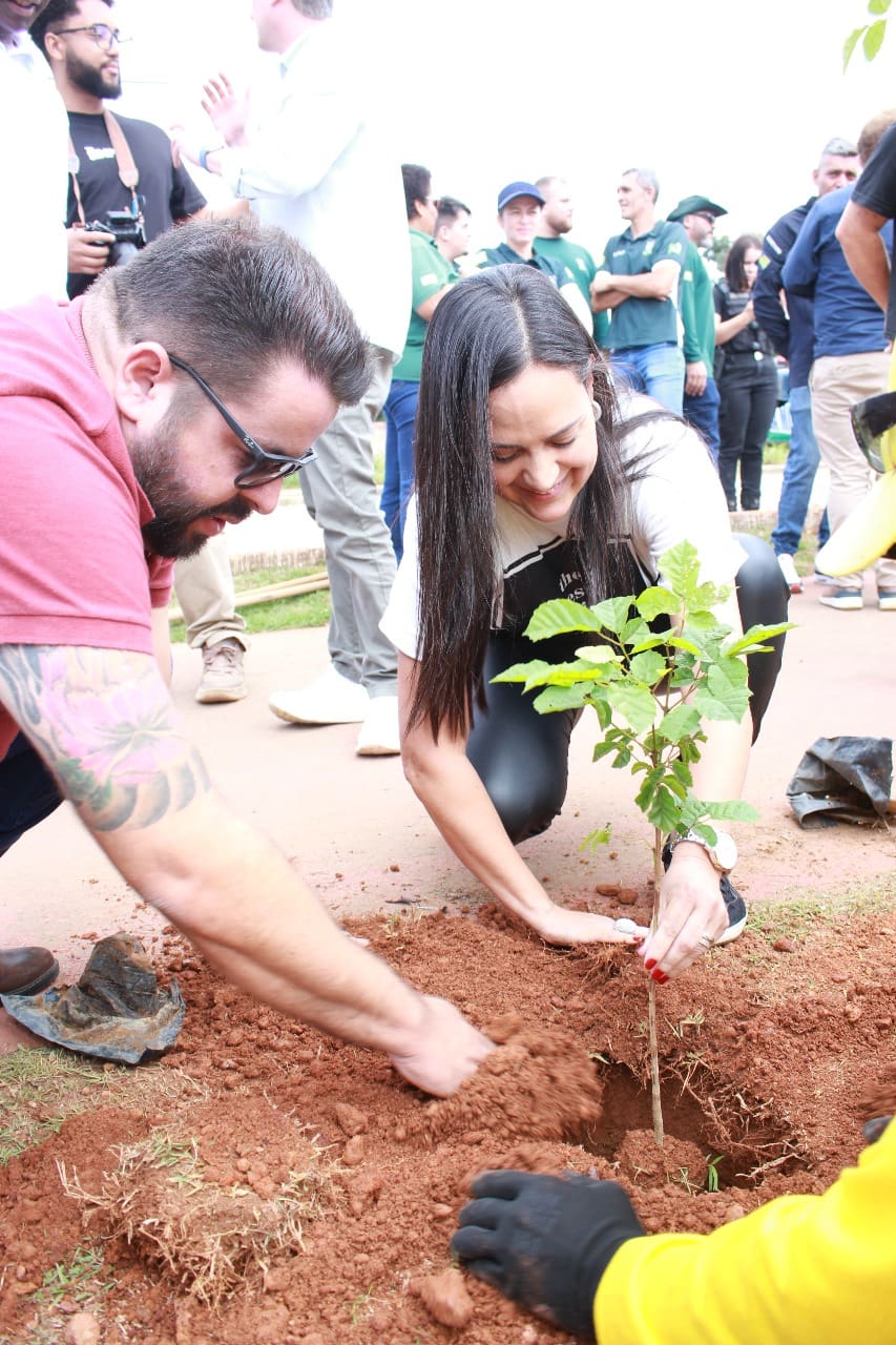 virada ambiental