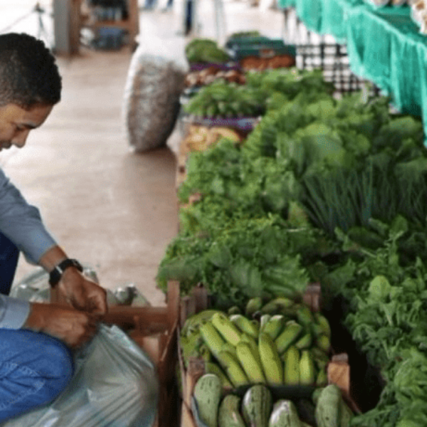 PAA investiu R$ 26 milhões no fortalecimento da agricultura familiar em Goiás