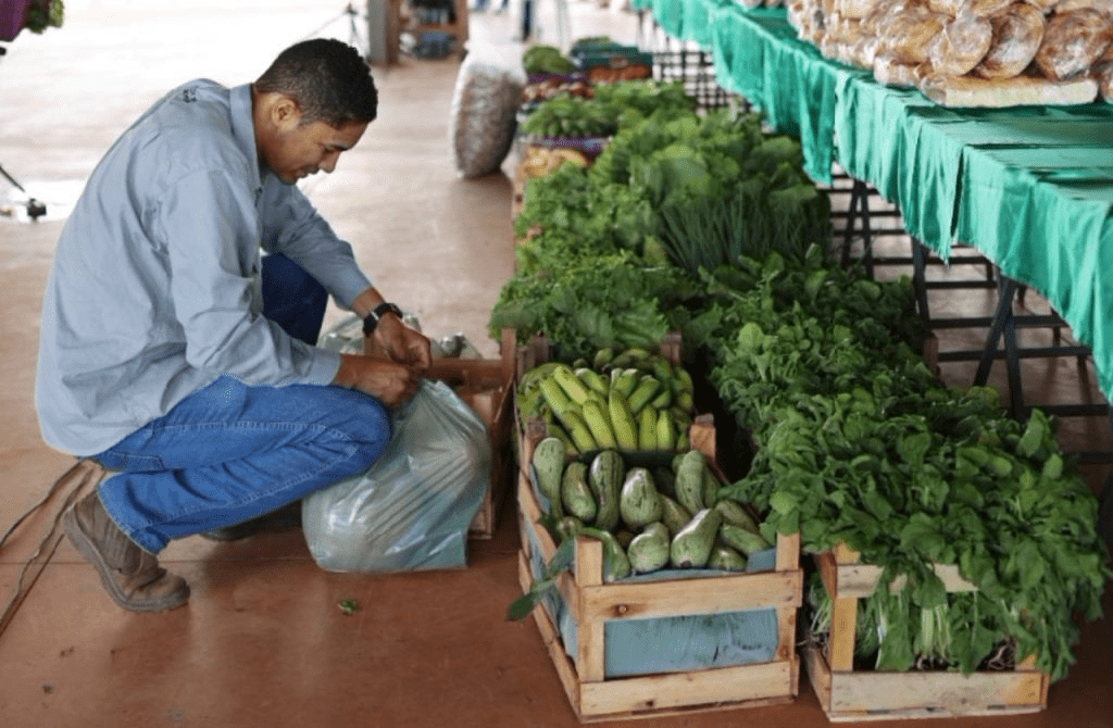 EMATER-PAA-INVESTIU-26-MILHOES-DE-REAIS-NA-AGRICULTURA-FAMILIAR PAA Goiás investe R$ 26 milhões na agricultura familiar