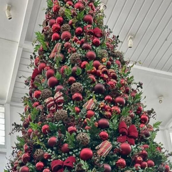 Natal: pesquisa do Procon Aponta variação de até 184% em preços de presentes