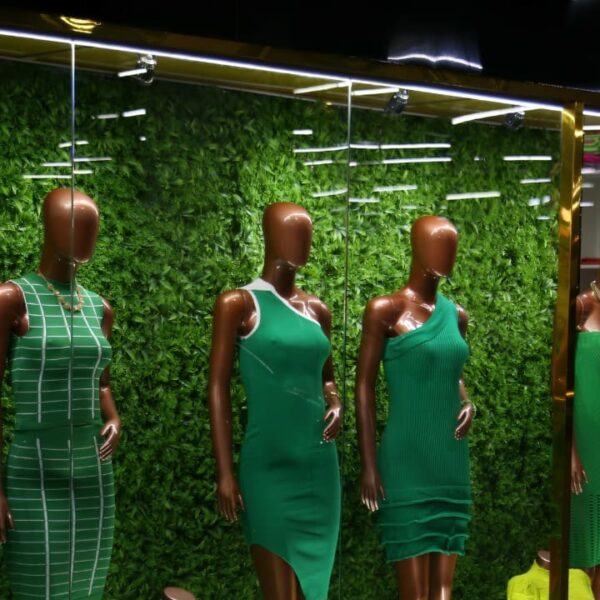 SIC encerra 2024 com conquistas e marcos históricos para Goiás - Programa Cinturão da Moda será ampliado