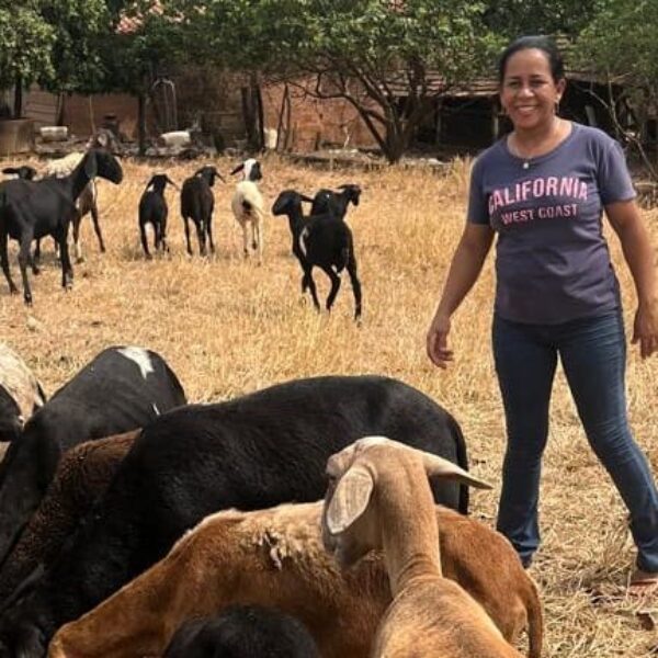 Governo de Goiás destina recursos a agricultores familiares